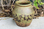 Egyptian Era Designed Earthen Ware Terra-Cotta Vessel/Planter with Looped Handles (Fat Belly Winter Green)