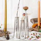 Planter Set of 3 Clear Glass Test Tube Vases with Antique Gold Metal Base