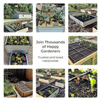 Garden Grid Watering System | Raised Garden Bed Drip Irrigation System – But Better | Pre-Assembled, Waters Every Plant Evenly, 1-Minute Setup | Square Foot Gardening Grid | US-Made (Standard, 2x6)