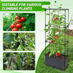2 Packs Raised Garden Bed Tomato Planter Box with Trellis, 43.4" Self-Watering Tomato Cage with Rectangular Trellis for Climbing Plants, Flowers, Vegetables, Vine in Patio Garden Indoor Outdoor