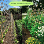 10pcs 1" D Thicker Heavy Duty Bamboo Stakes, 8FT Plant Stakes, Natural Garden Stakes for Tomato, Bean, Flowers,Trees Potted and Climbing Plant Support