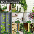 Wire Trellis for Climbing Plants Outdoor, 20-Set Wall Wire Trellis Kit with 1/8in x 98ft Stainless Steel Cable, T316 Espalier System for Fence and Garden DIY Projects