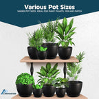 Lifemaster Plant Pots with Multi Drainage Holes - 5 Pieces Versatile, Sturdy Plastic, Stackable Design Home Decor Flower Pots for Indoor and Outdoor Gardening - Black