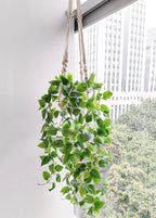 Comtelek 2 Packs Fake Hanging Plant with Pots for Home Decor Artificial Hanging Basket Plants Macrame Plant Hanger with Faux Vines Greenery for Bedroom Bathroom Room Wall Boho Decor Indoor Outdoor