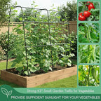 Cucumber Trellis Arch 5.3FT Black PP Coated Stainless Steel Garden Arch Trellis for Climbing Plants Outdoor, Garden Vegetable Trellis for Climbing Plants with Netting