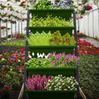 Outland Living 4Ft Vertical Raised Garden Bed - 5 Tier Food Safe Planter Box for Outdoor and Indoor Gardening Perfect to Grow Your Herb Vegetables Flowers on Your Patio Balcony Greenhouse Garden