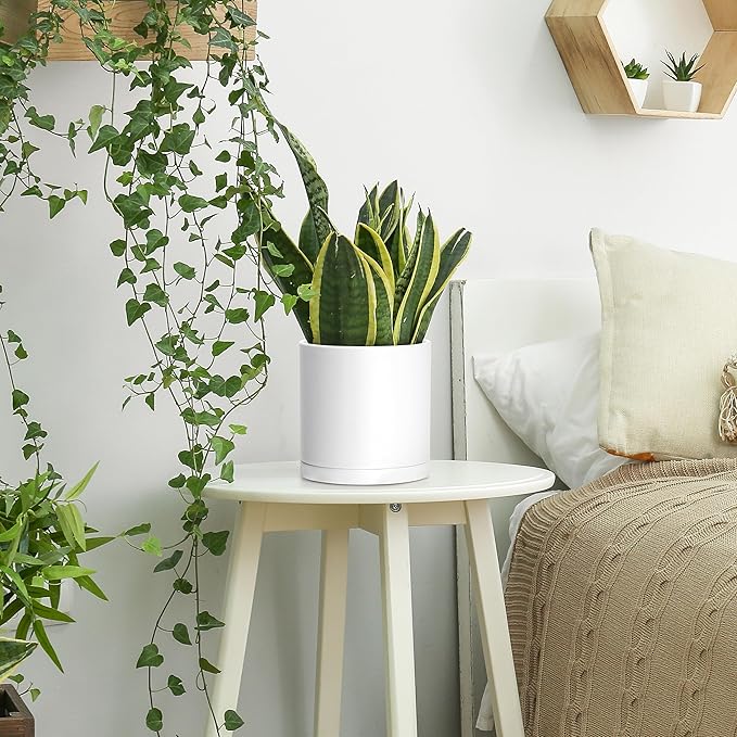 Planters 2 Pack 6.5 Inch Matte White Modern Plastic Pots with Saucers