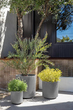 Veradek Demi Series Set of 3 Round Planters for Porch, Patio, Backyard | Durable Plastic-Concrete Material | Modern Décor for Tall Plants, Flower