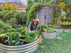 Plant & Plot Galvanized Raised Garden Beds Outdoor // 8×4×1 ft (2-Pack) Planter Raised Beds for Gardening, Vegetables, Flowers // Large Metal Garden Box // Patented Tool-Free Design (Silver)