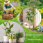 succulentlovers 4PCS Indoor Plant Support Stakes, 12.6 Inch Metal Monstera Plant Supports, Indoor Plant Trellis Plant Stem Holder Support for Indoors & Outdoor Garden Plants Stabilization and Supports