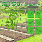 Lalahoni Cucumber Trellis, 65x48 inch Garden Trellis for Climbing Plants Outdoor, Metal Garden Arch Climbing Plant Support Vegetables Peas Beans Squash Cucumber Trellis for Raised Bed, Green