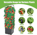 Sunnyglade 2 Pcs Raised Garden Bed Planter Box with Trellis, 44” Tomato Trellis Planter for Various Vine Climbing Plants Vegetables Detachable Frame for Outdoor Indoor Terrace