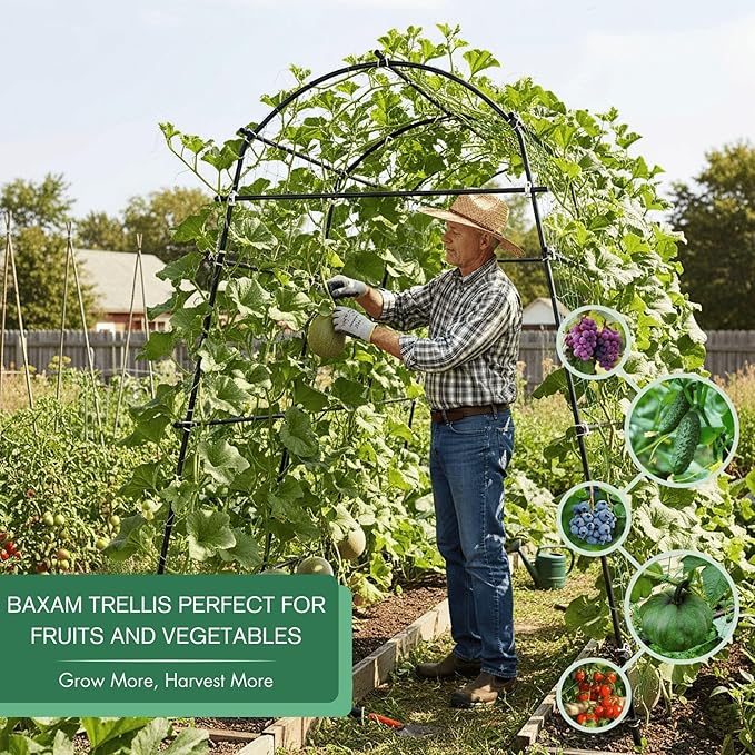 7ft Garden Arch Trellis for Climbing Plants Outdoor-Heavy Duty Metal Cucumber Trellis for Raised Beds- Tall Steel Vegetable Arbor with Strong Bolt Assembly & Outdoor-Ready Stakes