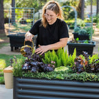 Rolling Elevated Raised Garden Bed-V Series, 2' x 6' Garden Beds with Legs & Storage Rack for Patio & Porch, 1000 Lbs Weight Capacity, Outdoor Planter Box for Vegetables Flower Herbs, Modern Gray