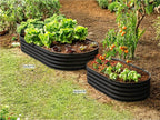 Plant & Plot Galvanized Raised Garden Beds Outdoor // 6×3×1 ft Planter Raised Beds for Gardening, Vegetables, Flowers // Large Metal Garden Box // Patented Tool-Free Design (Black)