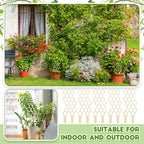 Nuenen 5 Pack Indoor Plant Trellis for Climbing Plants 11.8 Inches Small Garden Wooden Trellis for Potted Plants Honeycomb Shape Trellis Starter Holder for Outdoor Flower Plant Support Accessories