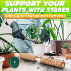 Moss Pole 26.4" Small Monstera Plant Support 2 Pcs Set - Pothos Plant Climber Support with Connectable Design and Fixation Strip - Coconut Fiber Moss Poles for Monstera, Money Plants, Philodendron