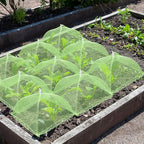 6 Sets Strawberry Plant Support with Mesh Cover - Square Gardening Frame, Animal Barrier, Iron Stakes & Storage Bag for Healthy Strawberries, Tomatoes, Veggies (Green) (6 pcs)