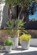 Veradek Demi Series Set of 3 Round Planters for Porch, Patio, Backyard | Durable Plastic-Concrete Material | Modern Décor for Tall Plants, Flower