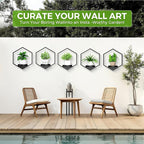 Wall Planters for Indoor Plants 5 Pack, Plant Frames Wall Decor Living Room Plant Stand Hanging Wall Plants Holder to Hold Large Pots Wall Plant Hanger Window Plant Shelves for Outdoor Entryway