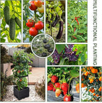 GENMOUS 3 Tiered Tomato Planter with Trellis for Small Climbing Vegetables Plants, 45” Raised Garden Bed Planter Box Tomato Cage Tomato Planters for Patio Indoor Outdoor Vegetables Growing Plants