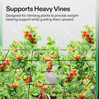 VIVOSUN 5 x 5Ft. Elastic Trellis Netting with 4 Hooks for Climbing Plants, Vegetables, Fruits, and Flowers, 2-Pack