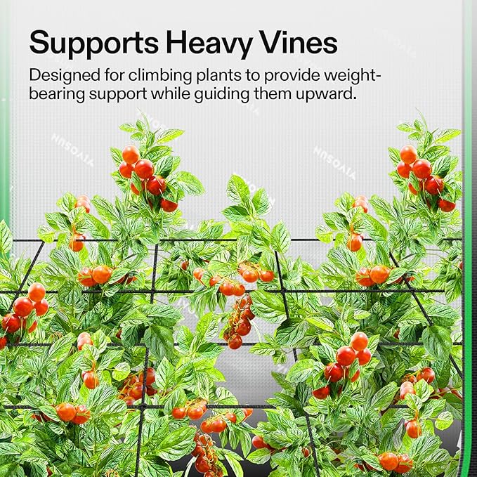 VIVOSUN 5 x 5Ft. Elastic Trellis Netting with 4 Hooks for Climbing Plants, Vegetables, Fruits, and Flowers, 2-Pack