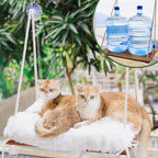 Large Cat Window Perch with Industrial-Grade Suction Cups - Solid Pine Wood Hammock Bed, Soft Cushion - 42 lb Capacity for Heavy Cats Inside