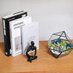 Terrarium Kit, 7-Inch Dodecahedron Glass Container with Moss and Crystals