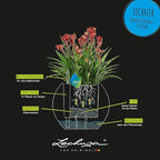 Lechuza Puro Color 20 Slate, Self-Watering Small Indoor Planter, D7.9 H6.3 in