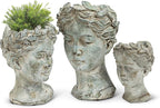 Abbott Collection Goddess Head Planter – Extra Small Cement Indoor and Outdoor Planter Pot – Grecian Woman Statue Head Planter for Flowers and Succulents (Grey, 6.5" Tall, 2.75" Opening)