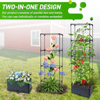 2 Packs Raised Garden Bed Tomato Planter Box with Trellis, 55.2" Self-Watering Tomato Cage with Rectangular Trellis for Climbing Plants Flowers Vegetables Vine in Patio Garden Indoor Outdoor