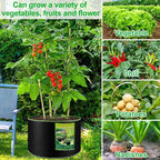 NACHLYNN 5-Pack 7 Gallon Grow Bags Thickened Nonwoven Fabric Pots with Handles Heavy Duty Aeration Fabric Pots Plant or Fruits Flowers Plant for Gardening