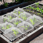 4 Sets Strawberry Plant Supports with Plant Protectors from Animals,Strawberry Growing Support Stakes with Mesh Plant Cover and Metal Garden Lawn Spikes Strawberry Planting Stand for Garden Vegetables