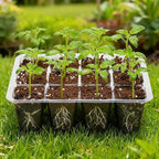 Bonviee 12 Packs Seed Starter Tray with Drainage Holes, Reusable & Durable, Clear for Root Monitoring, Easy to Repotted Without Root Damage, 12 Cells per Tray