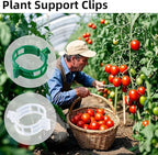 300 Pcs Plant Support Clips,Plastic Clips for Securing Plants,Tomato Vine Clips,Plant Fixing Clips,Garden Clips for Climbing Plants,Grape and Vine Vegetables (300, White)