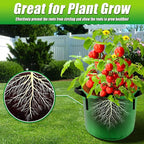 5 Gallon Grow Bags, 7 Pack Colorful Fabric Plant Pots with Handles for Garden and Outdoor Planting