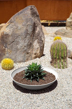 Veradek Mason Series Lane Bowl Planter| for Indoor or Outdoor Tabletops/Gardens |Made from Plastic-Stone Composite with Drainage Holes|Modern Décor for Flowers, Succulents, Small Plants