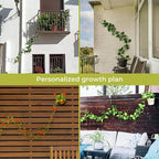 Chain Trellis for Climbing Plants - Indoor & Outdoor House Plant Accessories for Monstera, Pothos, Ivy, and More | Garden Wall Trellis and Plant Vine Support - Houseplant Accessories and Plant Gifts