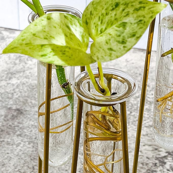 Planter Set of 3 Clear Glass Test Tube Vases with Antique Gold Metal Base