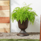 Arcadia Garden Products PL20CP Classic Traditional Plastic Urn Planter Indoor/Outdoor 10" x 12", Brushed Copper