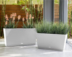 Veradek Midori Long Trough Planter (White, 31 inch - 2 Pack with 2 Saucer Trays)