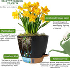 Self Watering Pots for Inoor Ourdoor Plants 8/7/6.5/6/5 Inch Plastic Planters with Drainage Holes & Water Level Indicator, Decorative House Flower Nursery Planting Pots with Saucers (Black)