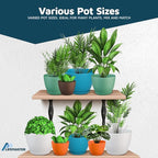 Multicolor Plant Pots with Drainage Holes & Saucers 10 Pack, Indoor & Outdoor Stackable Space-Saving Planters for Houseplants & Flowers, (7", 6.7", 6", 5.3", and 4.8" Inches), Durable & Weatherproof