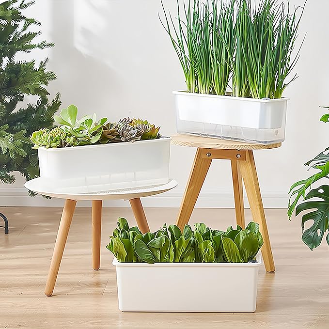 FAMZ Self Watering Pots for Indoor Plants 3 Pack Transparent Rectangular Planting Self Watering Planter，Vegetable Planters for Windowsill Patio Garden Balcony Home Porch Yard Indoor Outdoor (White)