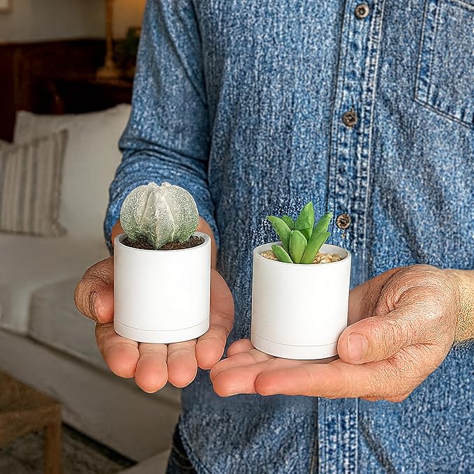 Planter Pots 24 Pack, 2 Inch Matte White Plastic with Saucers