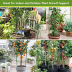 Riare 8 Pack 4 FT Tomato Cages for Garden- 48inches Heavy Duty Garden Stakes, Adjustable Tall Tomato Plant Support Tomato Trellis Cage for Pots, Raised Garden Bed, Climbing Vegetables Plants Flowers