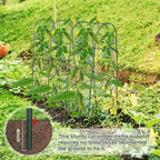 Cucumber Trellis for Raised Bed,U-Shape Garden Trellis for Climbing Plants Outdoor, Metal Arch Trellis for Vegetables, Plant Support for Vine,Tomato, Pea (Green, 49.6" L×30" W×47.2" H)