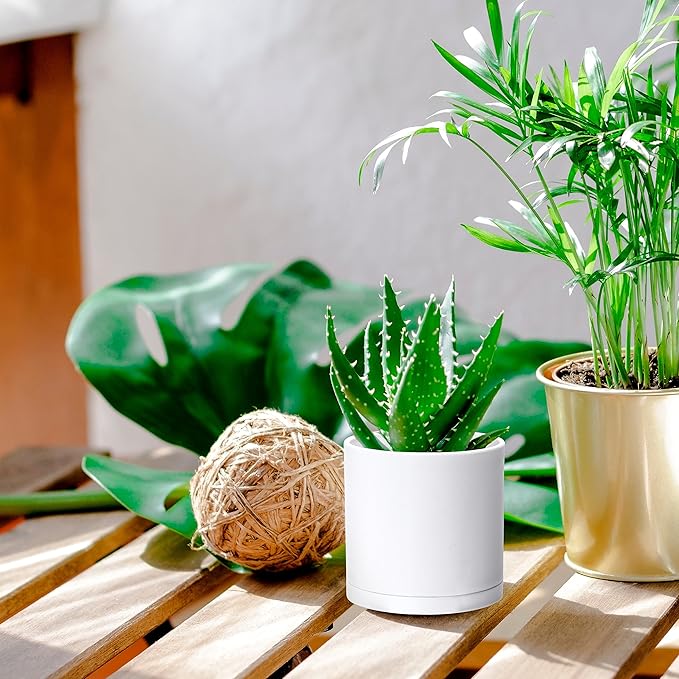 Planter Pots with Saucers, Matte White Plastic, 4 Inch, Set of 2