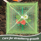4 Sets Strawberry Plant Support with Mesh Plant Cover,Strawberry Growing Racks Sets with Iron Plant Nails and Storage Bag for Garden Strawberry Vegetables(Green Net - Square)